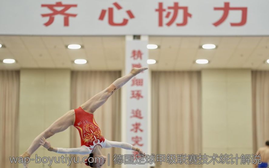 德国足球甲级联赛技术统计解说