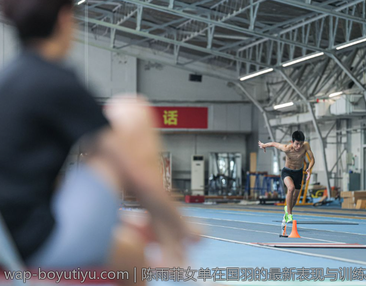陈雨菲女单在国羽的最新表现与训练状态