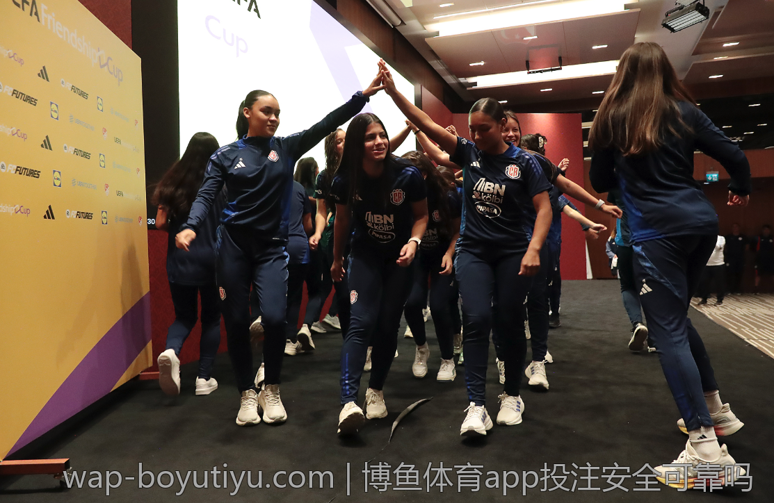 博鱼体育app日常维护及更新频率解析